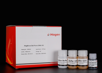 Recover DNA fragments from agarose gel by magnetic bead