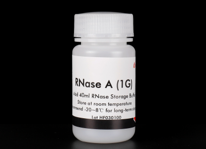 Bovine pancreatic ribonuclease A (lyophilized powder), with solution
