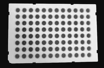 100μl l 96 Well PCR Plate, Full Skirt, White Frame, Transparent Tube