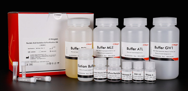 Isolation total DNA from 100-150mg stool samples