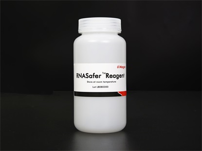 RNA preservation reagent